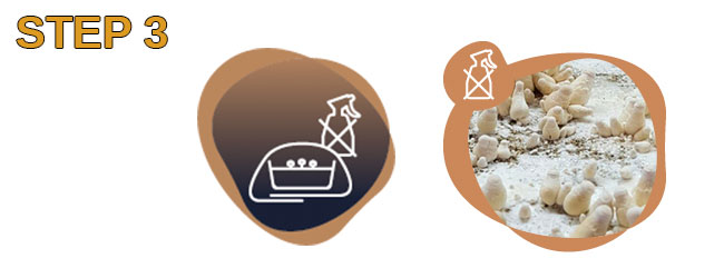 growguide step 3 freshmushrooms mycelium grow kits