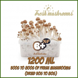 B+ 1200ml Grow Kit Freshmushrooms